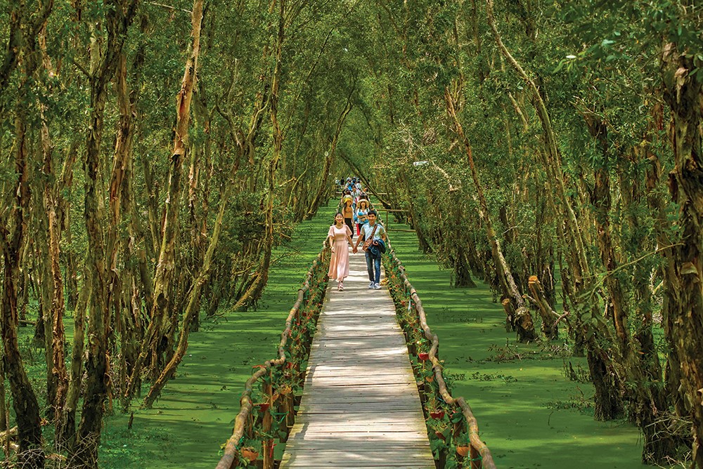 Tra Su Melaleuca Forest (An Giang Province) (Photo: Angiang online)